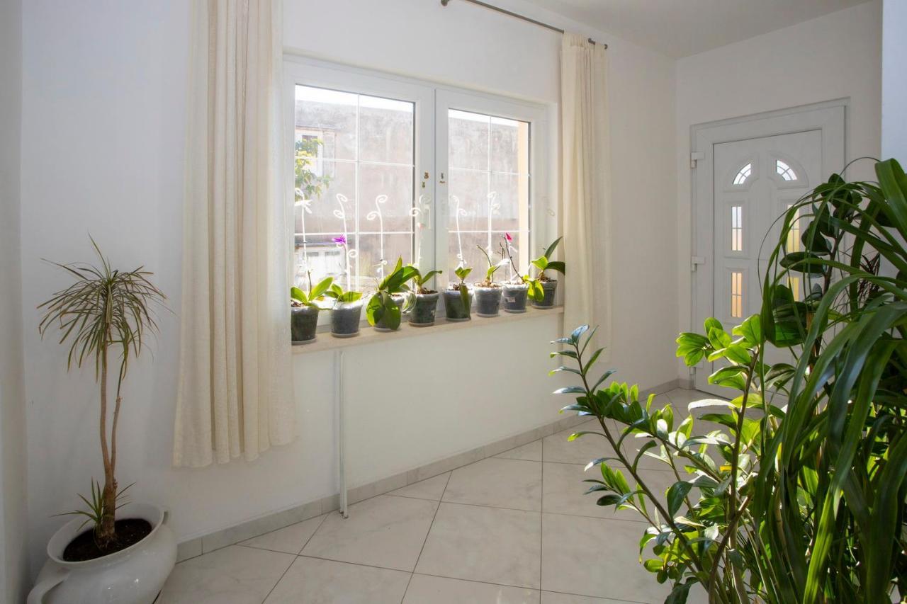 Villa Milenka - Apartmani Gorana Tučepi Eksteriør billede